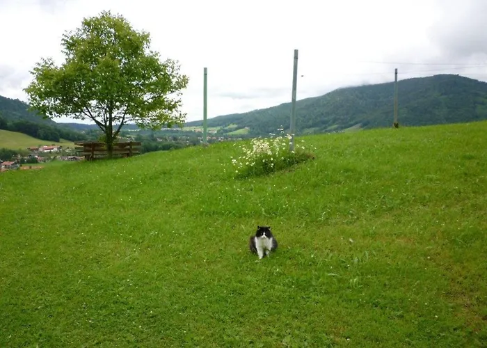 Maurerhof Inkl. Chiemgaukarte * Ruhpolding